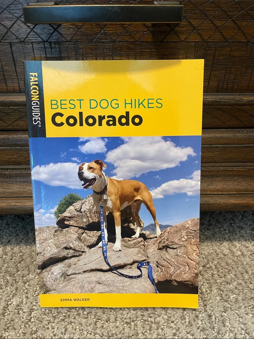 Best Dog Hikes Colorado - Yellow Cover